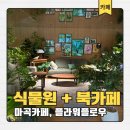 동서울식물원 | 서울 최대 규모의 식물원 컨셉의 대형북카페? 마곡 플라워플로우 평일 주말 방문후기