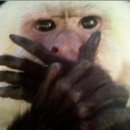 천호마스타 이미지