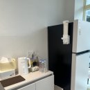 봄이오냥 이미지