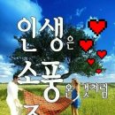 소요유 Daum카페