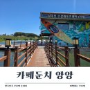 양양 카페 추천! 남대천 위에 떠 있는 수상카페 둔치 후기