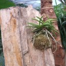 민들래농원 이미지