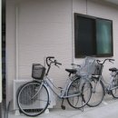 요선약국 이미지