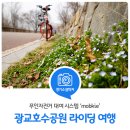 원천리천 | 경기도 수원 광교호수공원, 원천천 자전거 라이딩 여행! 무인자전거 대여 시스템 'mobike' 이용 후기