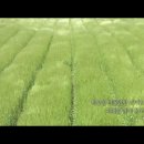 농수산길 이미지