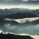 태백로-2 이미지