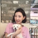 옳치 올치 네이버블로그