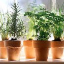 풍수인테리어 이미지