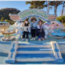 강화 태권도장 이미지