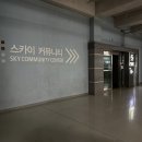 그루밍 버블리 이미지