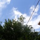 두만농장 이미지