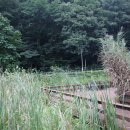 세천 공중화장실 이미지