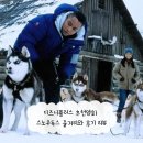 영화로배우는인생 | 디즈니플러스 추천영화 스노우독스 줄거리와 후기 리뷰