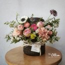 더 올림(The Ollim) 이미지