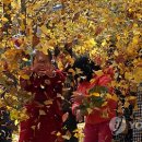 만수4동-9 이미지