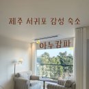 라벤더하우스 | [제주 서귀포 숙소] 범섬, 오션뷰 2.2.1 감성 숙소 에어비앤비