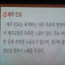 시에스타 이미지