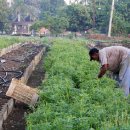 신선빌딩 이미지