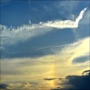 오션메디 이미지