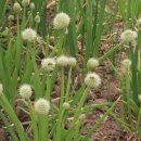 선영농장 이미지