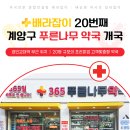 푸른나무약국 네이버블로그