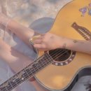 아이리스(IRIS) 이미지