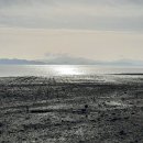 마을회관앞 이미지