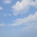 화진축산