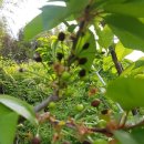 송광농장 이미지