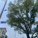 카페 아숨 by 득량 이미지