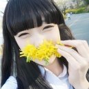 집앞,미용실 - 미추홀구 | 집앞,미용실