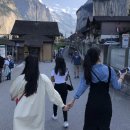 인터라켄 | 융프라우 왕복권 가격과 스위스 인터라켄 여행 후기 공유