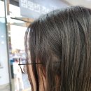 씨씨안경 이미지