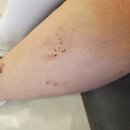 연세조은피부과의원 광명점 이미지