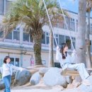 야시투
