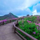 1108 Daum카페