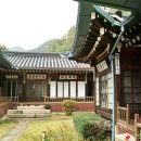평창동 Daum카페