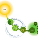 생태와 기후변화이야기 이미지