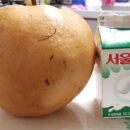 죽리길 티스토리