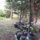 가우농장 이미지