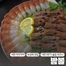 루나코인노래연습장 | 서면이자카야 ‘밤볼’ 숙성회가 맛있는 곳!