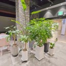 SG 스크린골프 이미지