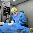 별내동물병원 이미지