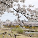 아기곰푸드 이미지