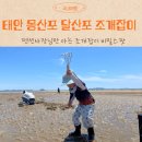 하늘채펜션 | 몽산포 달산포 해수욕장 부근 펜션 사장님만 아는 조개잡이 명소