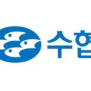 제주시수산업협동조합 - 건입동 | 제주시수산업협동조합