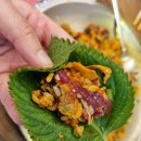 목포 점심 맛집 고민? 산낙지, 육꼬비 미친조합 연희네 낙지꼬막집