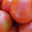 명광농장 이미지