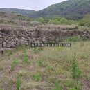 진전면101 이미지