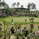 보문그린 이미지